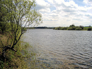 Scout Dike Reservoir, Spring 2007.